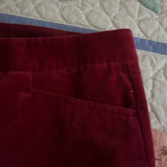 The Limited Red Velvet Pants Size 8 - Picture 6 of 8